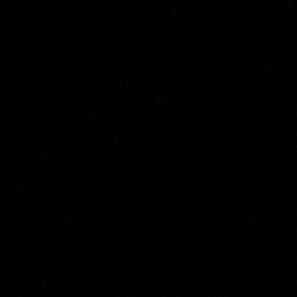 Meet your Posher, Nyla